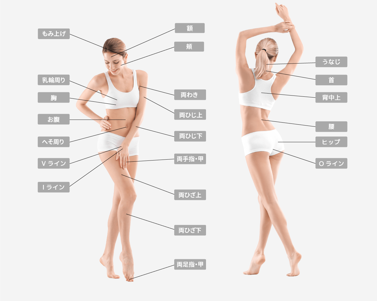 Ladies 脱毛メニュー